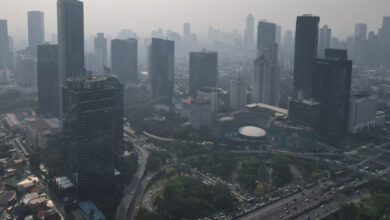 Makin Suram, OECD Pangkas Proyeksi Bagian Bisnis Indonesia Jadi 4,9% pada di 2025