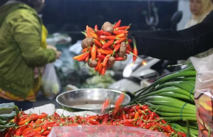 Update Harga Pangan Hari Akhir Pekan 9 Maret 2025, Bawang, Cabai juga Beras Masih Naik