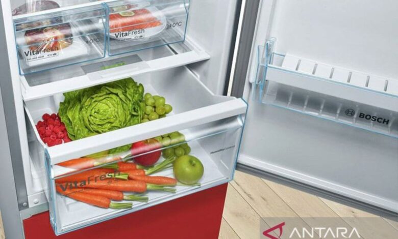 Sederet makanan yang dimaksud digunakan sebaiknya tak disimpan ke “freezer”