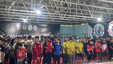 179 atlet Kalsel berkompetisi pada Kejurprov Muaythai 2025