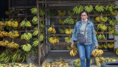 Tips simpan pisang agar tak cepat hitam juga juga lembek
