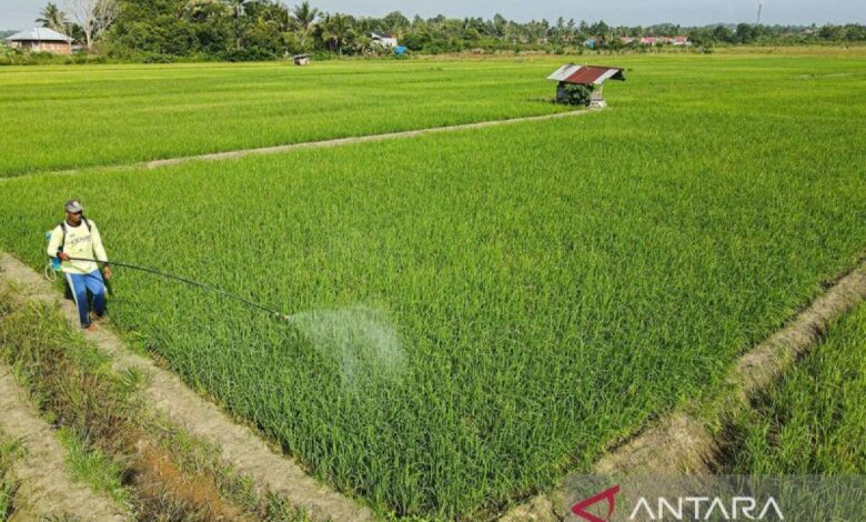 Kotawaringin Timur tingkatkan jalan pertanian menyokong ketahanan pangan