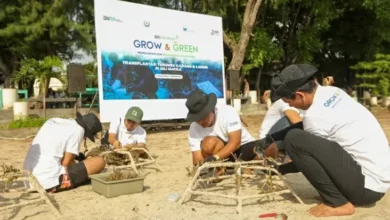 BRI Menanam Grow & Green Transplantasi Terumbu Karang, Selamatkan Ekosistem Laut di dalam area NTB
