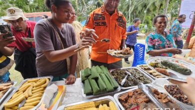 Menyukseskan acara MBG melalui penguatan pangan lokal pada Papua